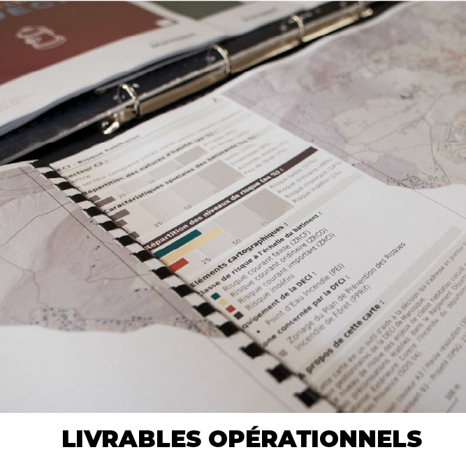 LIVRABLES RISCRISES DECI
